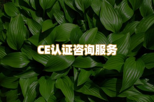 CE认证咨询服务